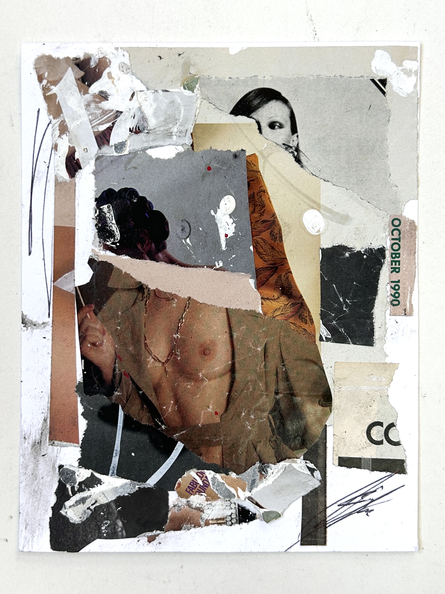 Censored collage 5