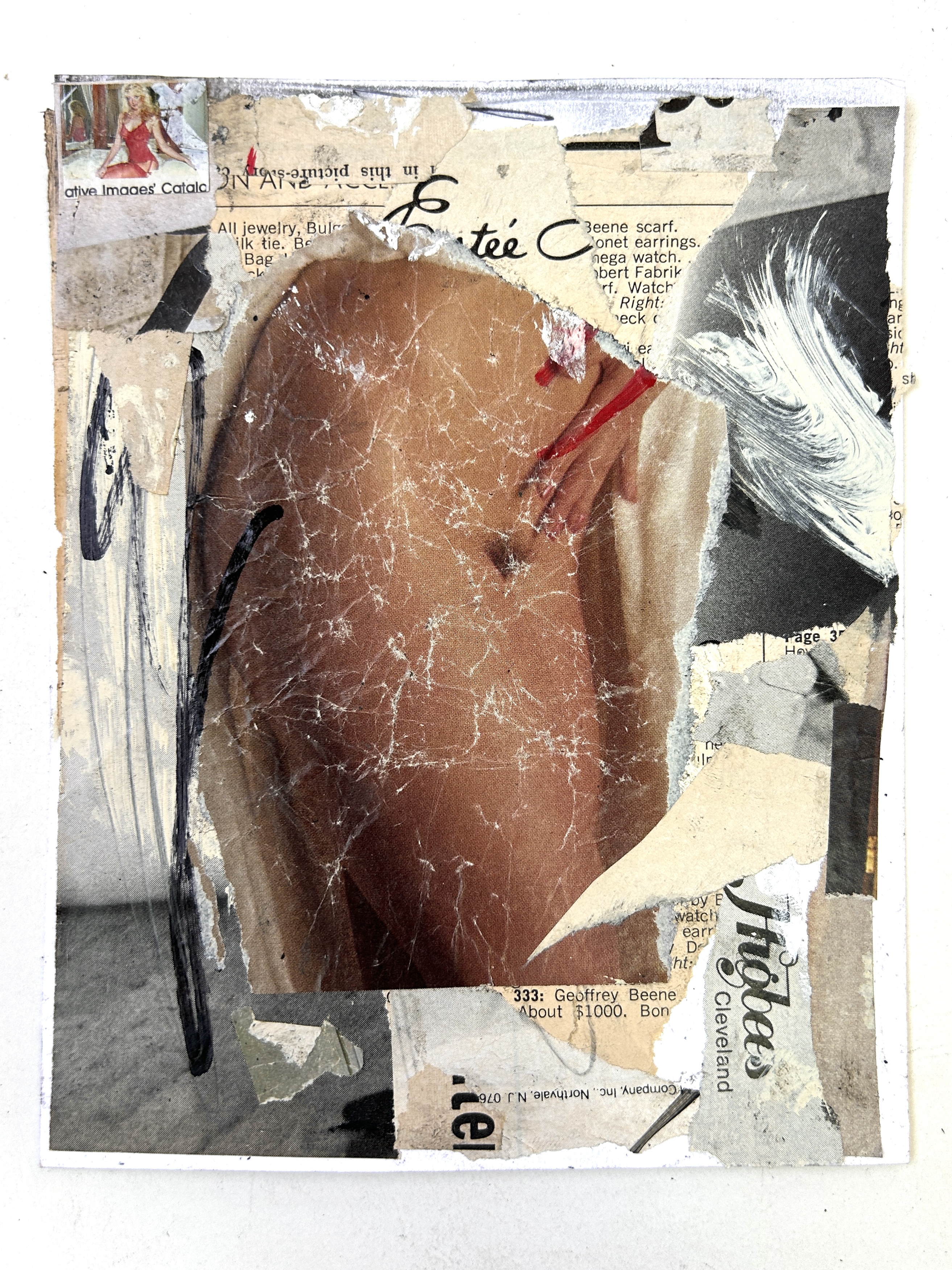 Censored collage 6