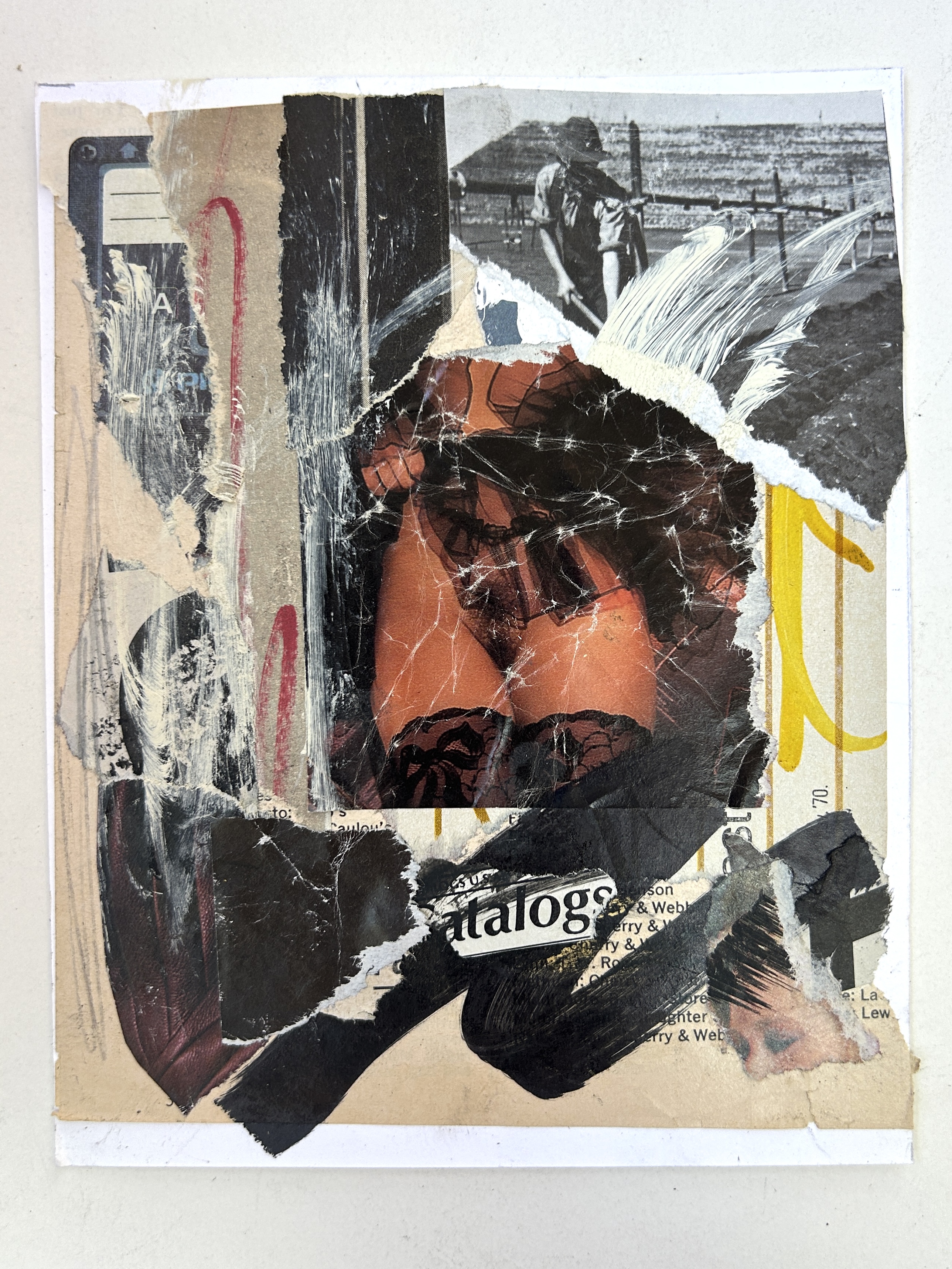 Censored collage 7